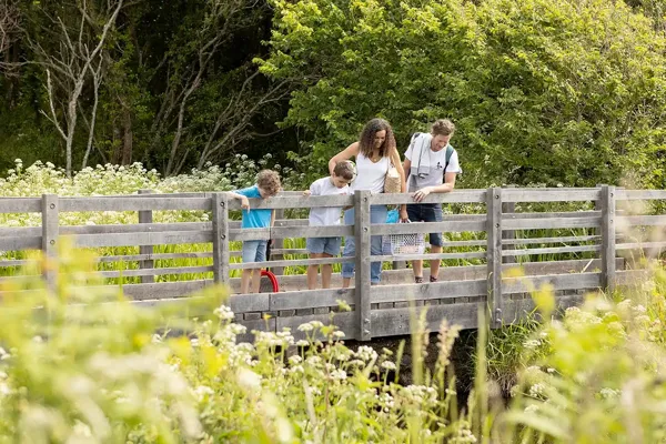 Silver Sands Bridge